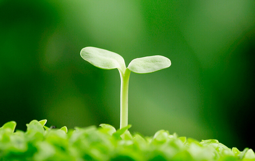 卓锦股份追求卓越，用智慧和科研呵护生态文明